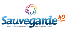 sauvegarde-42